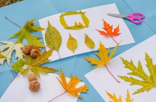 Cosa fare con le foglie d'autunno? 3 idee belle e facili
