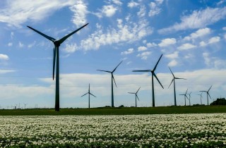Energia eolica: 10 cose da sapere