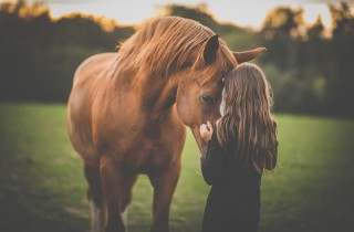 Quali sono i vaccini di cui il cavallo ha bisogno