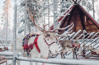 Come raggiungere la casa di Babbo Natale a Rovaniemi