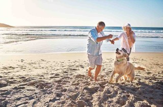 Spiagge per cani, come comportarsi nel rispetto di tutti