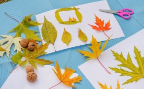 cosa fare con le foglie d'autunno, foglie autunno idee