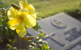 Sognare un cimitero, significato e numeri