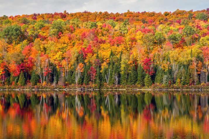 Foliage, 8 posti dove vedere lo spettacolo degli alberi a colori