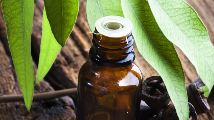 I suffumigi all'olio essenziale di eucalipto, un rimedio naturale contro il naso chiuso