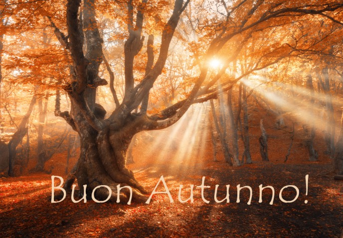 Buon autunno: 9 immagini per dare il benvenuto alla nuova stagione