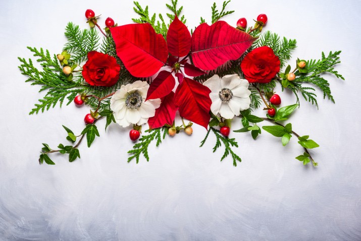 Composizioni floreali natalizie: come farle e 7 foto a cui ispirarsi