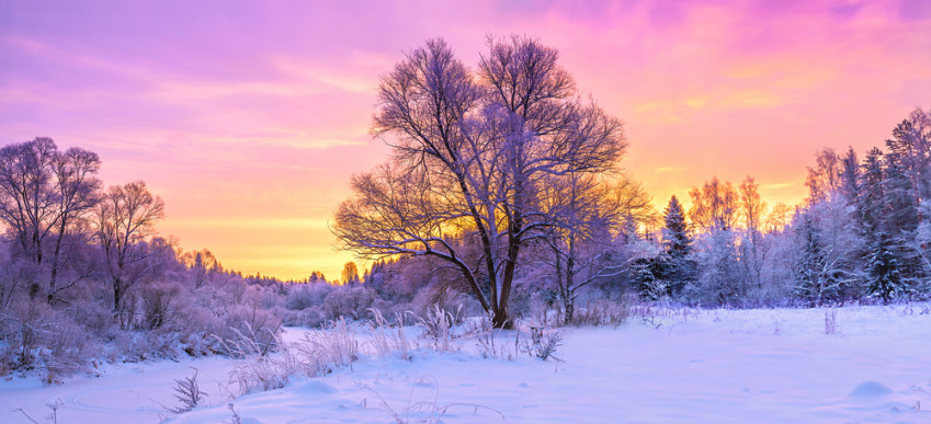 Sfondi desktop inverno gratis: 11 immagini che incantano