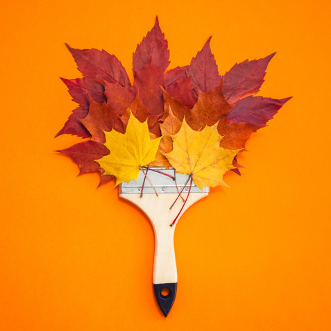 Decorazioni autunnali fai da te con foglie: 7 idee da copiare