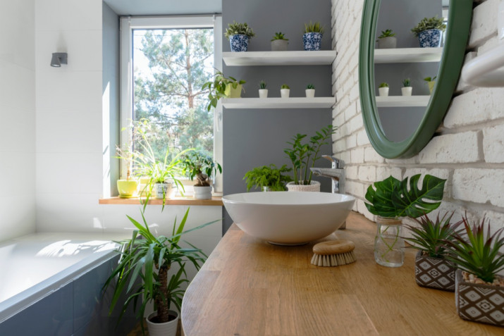 Arredare con le piante da interno: 7 soluzioni per la casa
