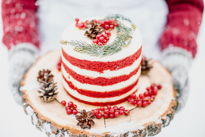 Torte invernali decorate: 7 idee per le decorazioni da vedere
