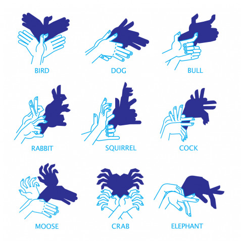 Come fare le ombre cinesi con le mani: le immagini per realizzarle
