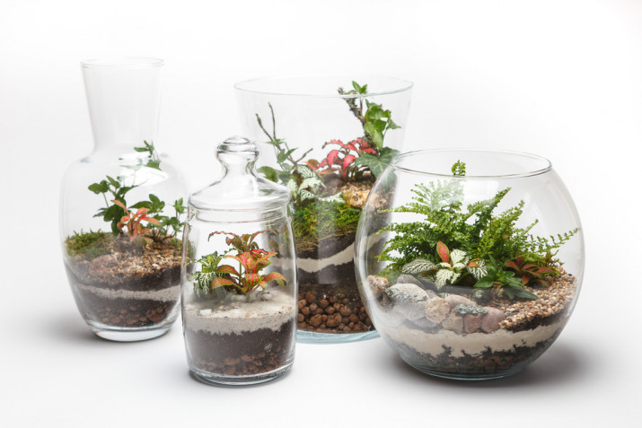 Come riempire un vaso di vetro trasparente: 11 idee per arredare
