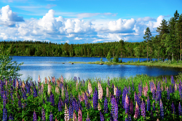 Sfondi desktop paesaggi estivi: 9 immagini gratis bellissime