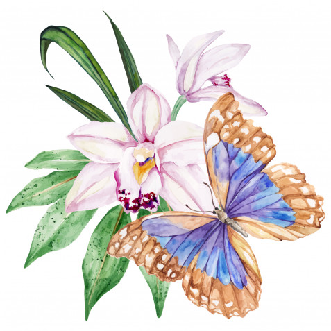 Farfalle decoupage da stampare gratis: 9 immagini belle