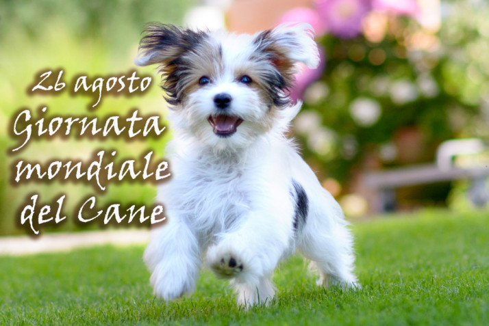 Giornata mondiale del cane: 7 immagini per fare gli auguri a Fido