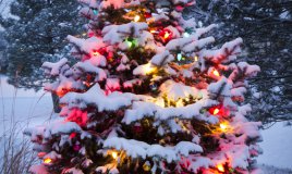 Natale offerte viaggi albero addobbi decorazioni