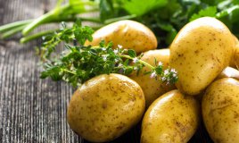 come coltivare le patate in vaso