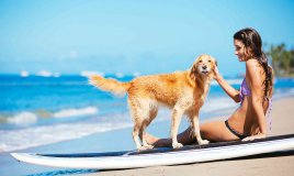 Si possono portare i cani in spiaggia e sulla battigia?