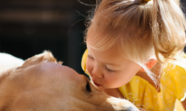 I bambini, gli animali e la Pet Therapy