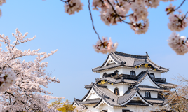 10 cose sulla cultura giapponese che ti incuriosiranno