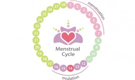 si può rimanere incinta durante ciclo, incinta durante mestruazioni