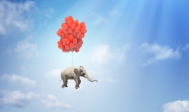 sogni, elefante, significato