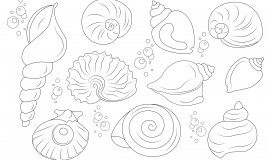 disegni da ricamare punto catenella a tema mare, disegni da ricamare punto catenella, soggetti marini da ricamare