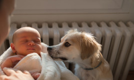 Cane e neonato