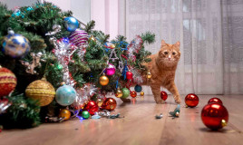 Albero di Natale 2021 gatto