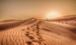 Sognare nel deserto