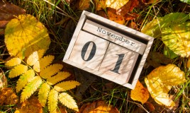 calendario novembre 2022 da stampare, calendario novembre 2022