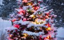 albero Natale neve ghiaccio viaggio Trentino Alto Adige