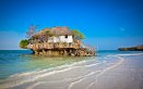 Zanzibar capodanno relax isolea reef oceanico balene tartarughe 