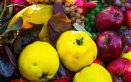 frutta fresca stagione consigli proprietà qualità