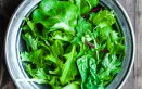 collagene cibi salute rucola spinaci