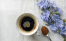 caffè di cicoria, proprietà benefiche, come si prepara