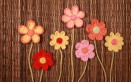 fiori crochet