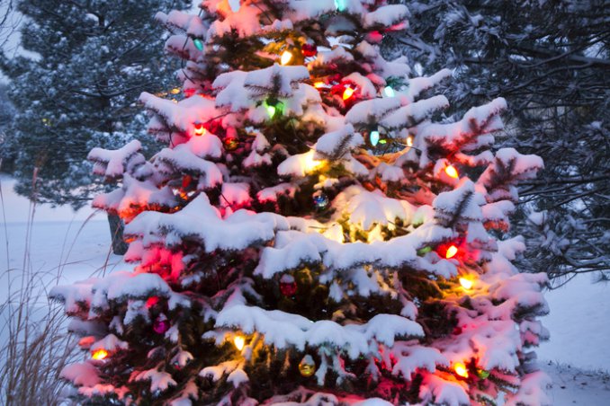 Natale offerte viaggi albero addobbi decorazioni