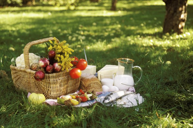 picnic, tovaglia, cestino, campagna, natura, cibo