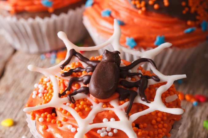 cupcake muffin dolcetti halloween ragnatela mostri
