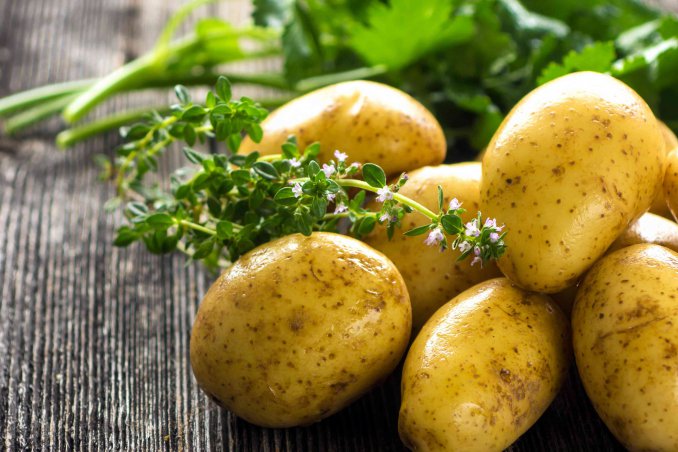 come coltivare le patate in vaso