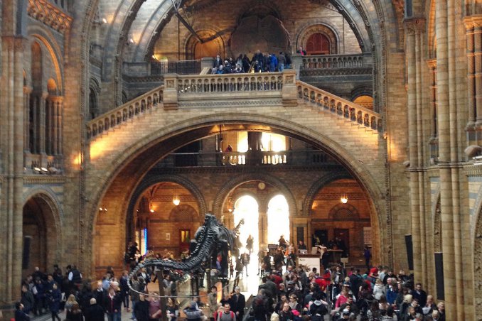 natural history museum ©OliviaChierighini