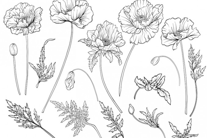 Come Disegnare Un Fiore Facilmente I Video Tutorial Donnad