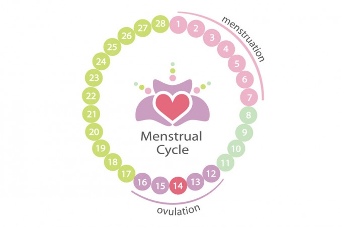 si può rimanere incinta durante ciclo, incinta durante mestruazioni