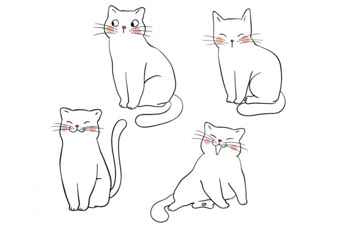 Come disegnare un gatto facilmente