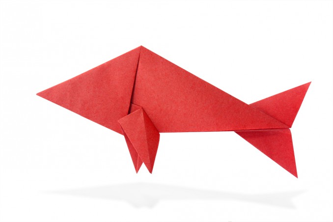 origami facilissimi pesce