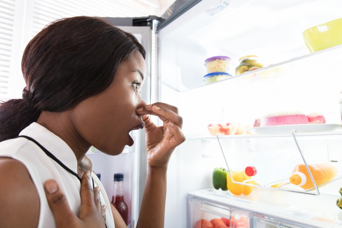 come togliere cattivi odori frigorifero, cattivi odori frigo, come eliminare cattivi odori frigorifero 