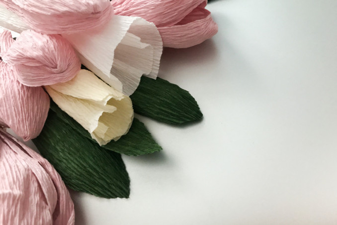 fiori magnolia carta 