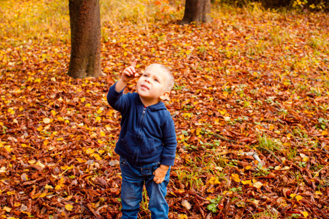 5 Filastrocche Per Bambini Sull Autunno Donnad